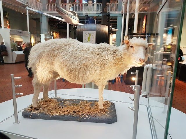 Skottlands nasjonalmuseum